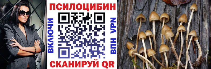 Псилоцибиновые грибы MAGIC MUSHROOMS  купить  цена  Полевской 